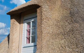 Narth thatch roof disadvantages